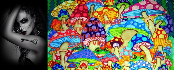 PSILOCYBIN Заволжск
