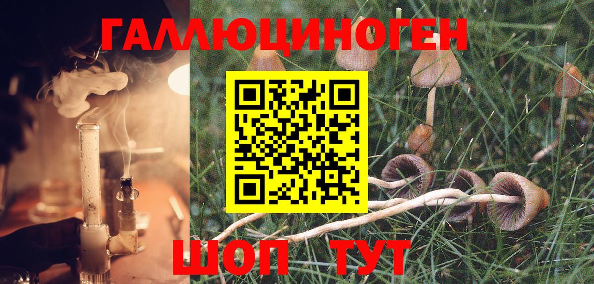 Мирный  Галлюциногенные грибы MAGIC MUSHROOMS  Вход с VPN  Псилоцибиновые грибы Magic Shrooms 
