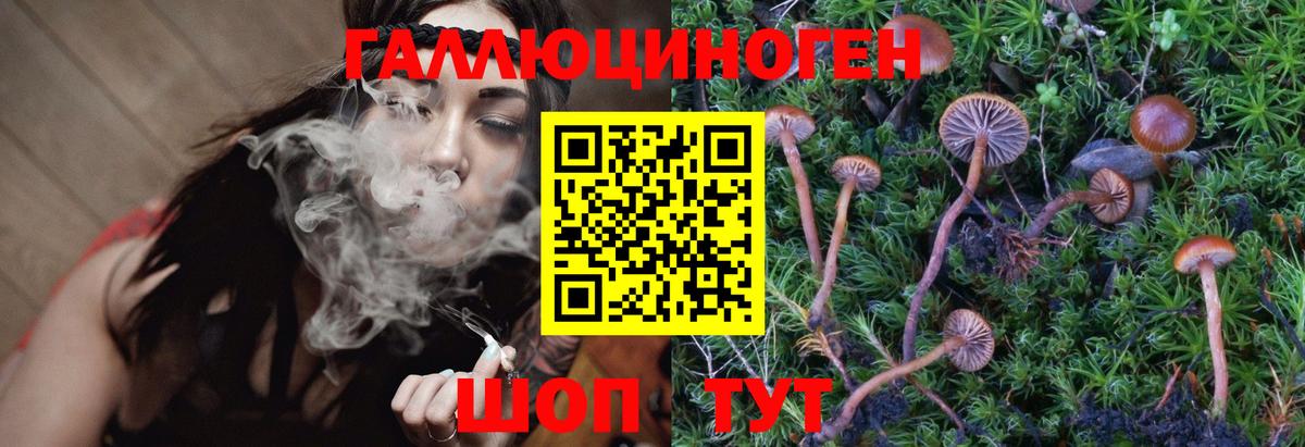 Псилоцибиновые грибы мухоморы Мирный