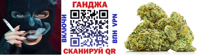 Конопля планчик Мирный